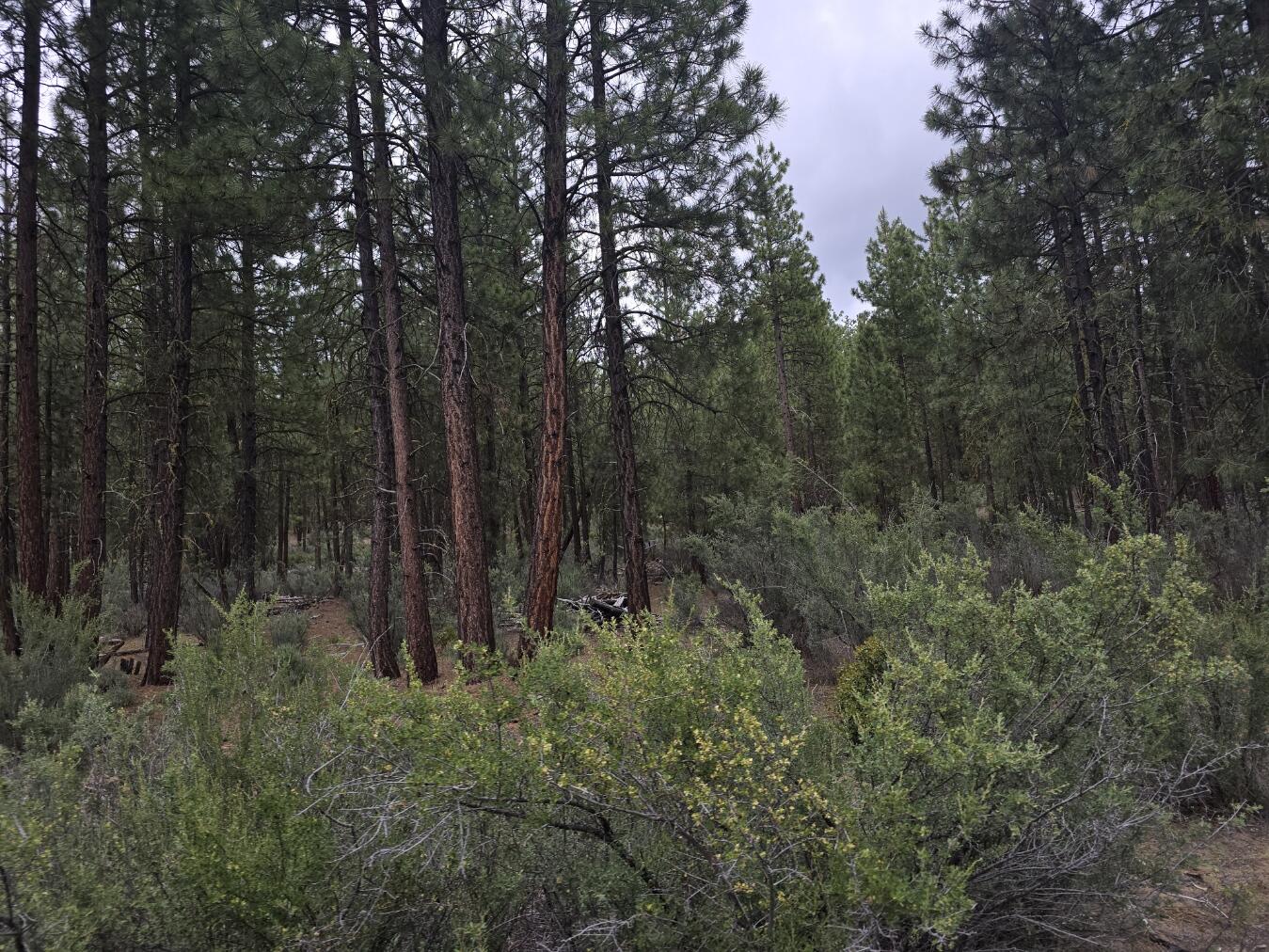 Sprague River - Land