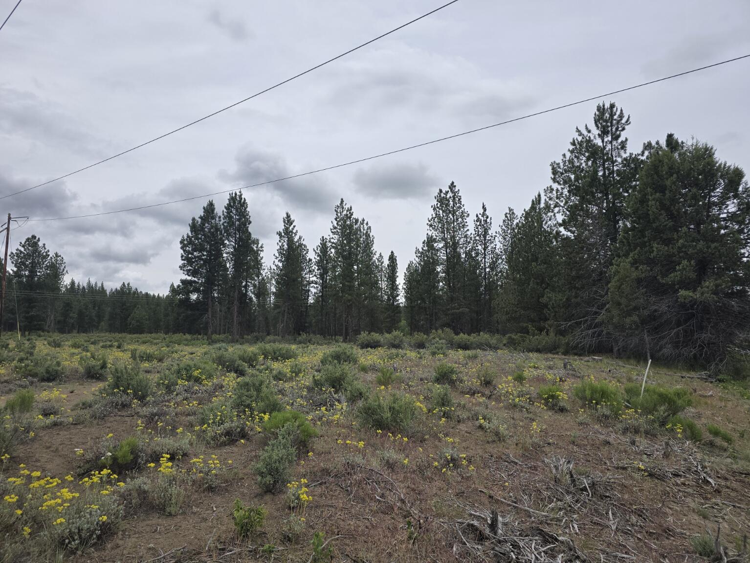 Sprague River - Land