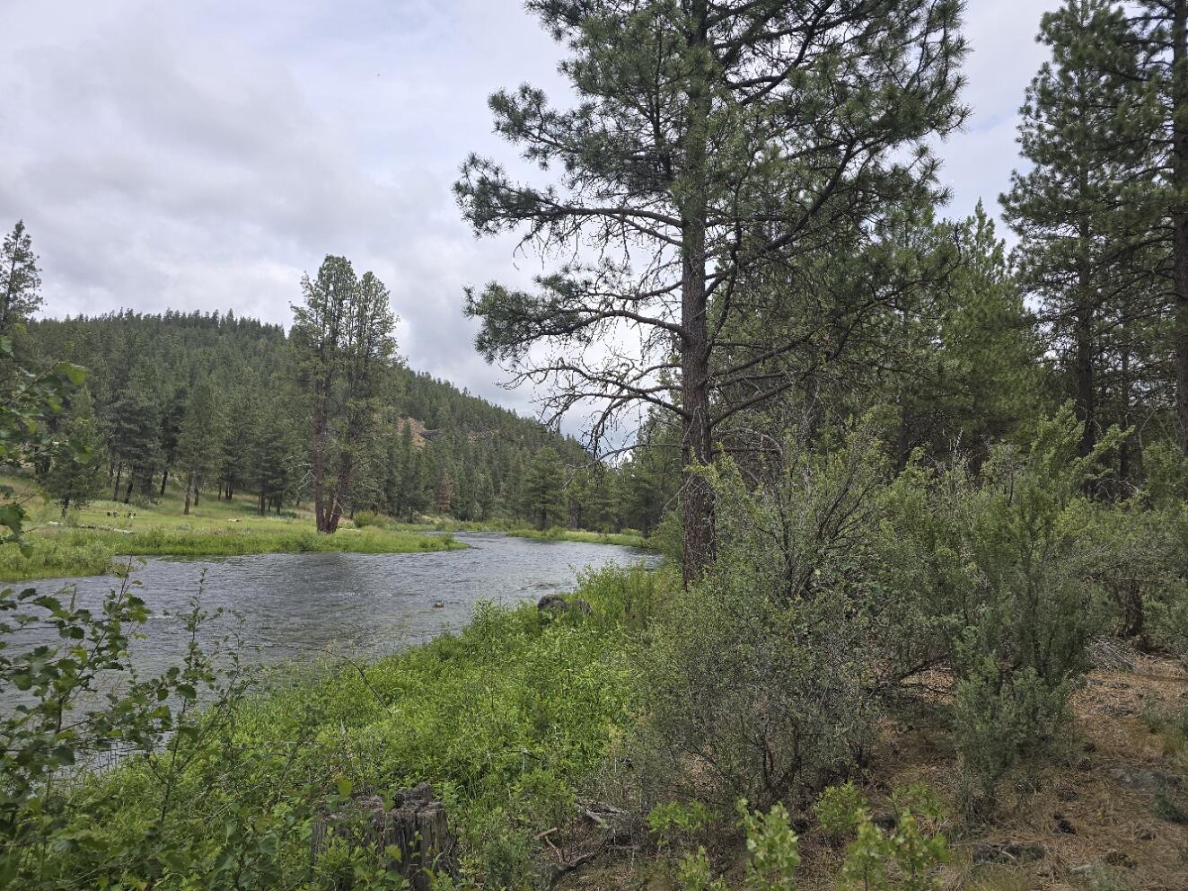 Sprague River - Land