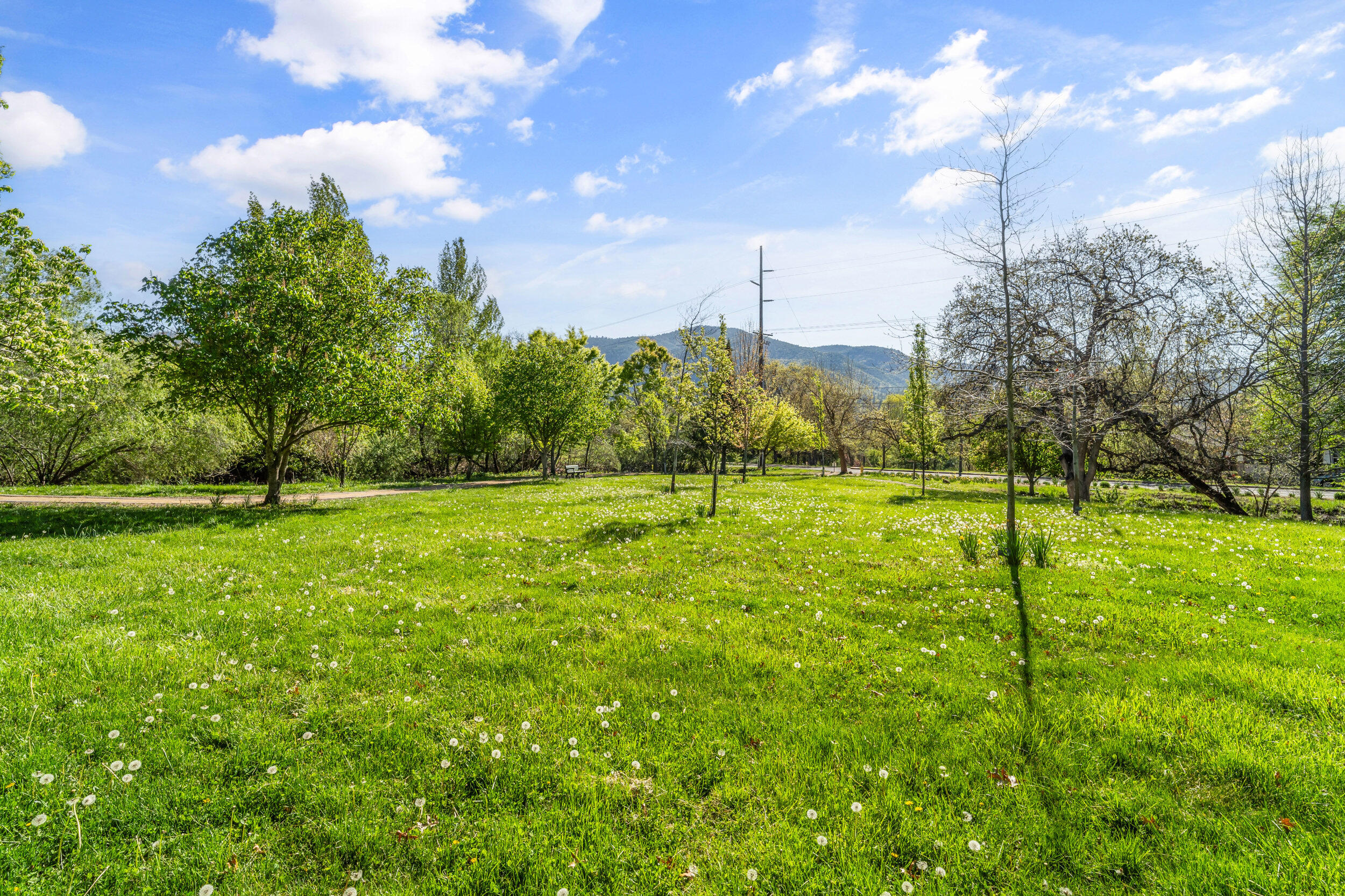 Mountain Meadows Subdivision Phase 1 - Residential
