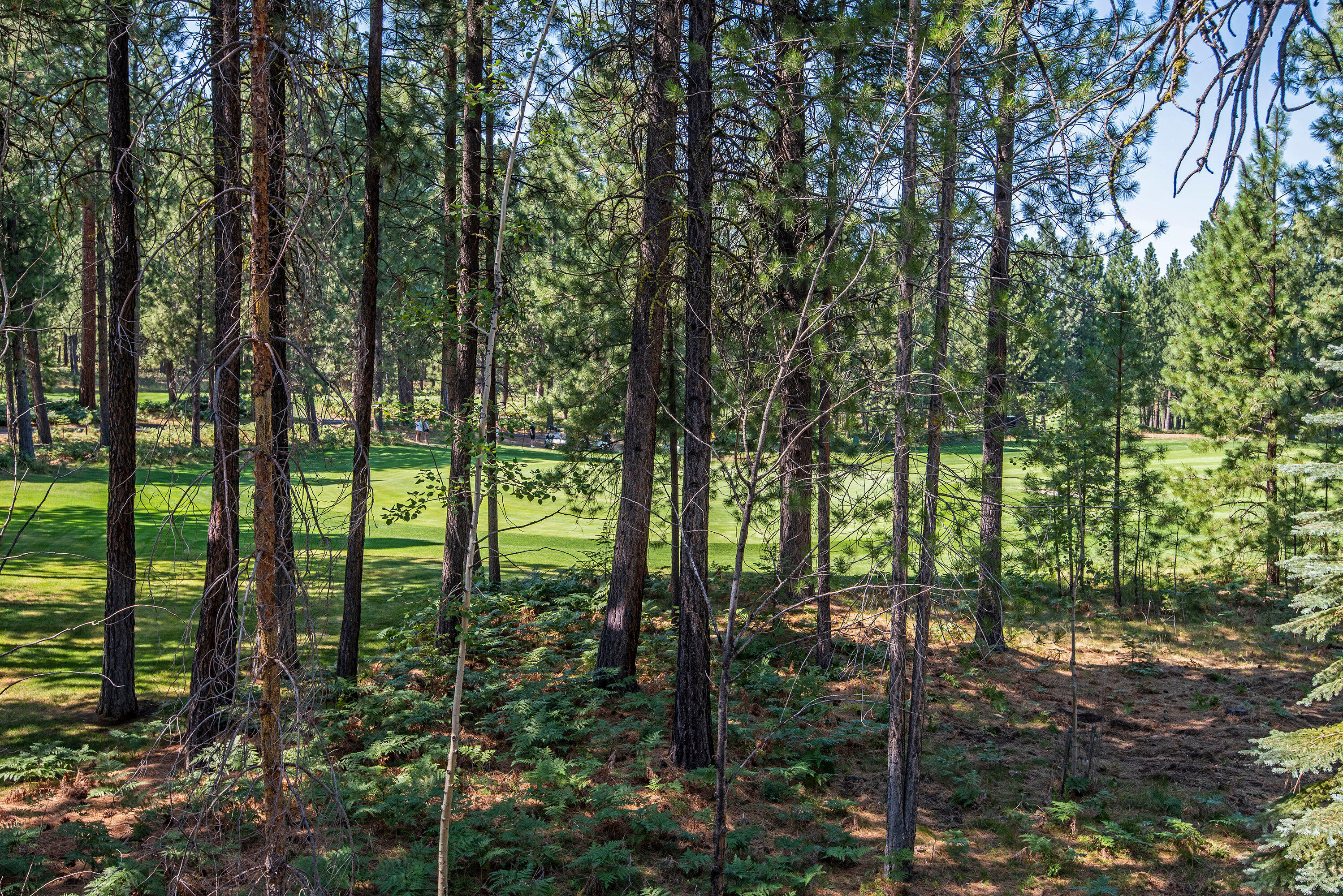 Black Butte Ranch - Residential