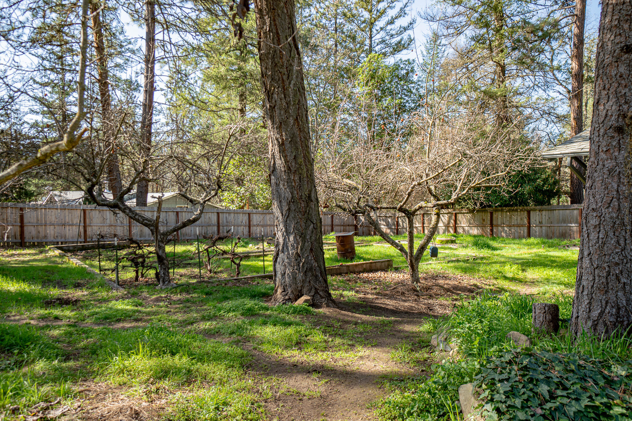 Sunshine Village - Residential