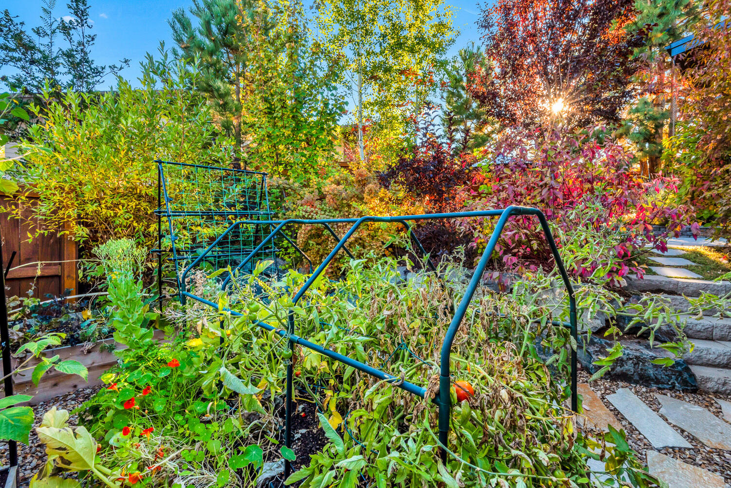 NorthWest Crossing - Residential