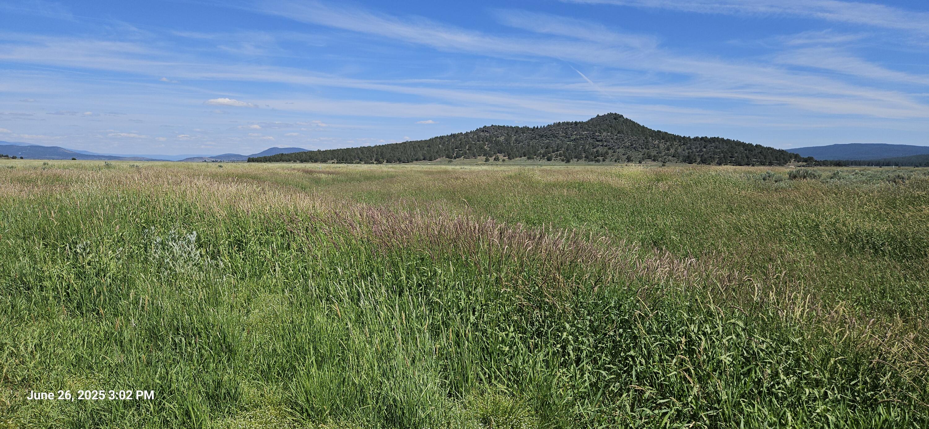 Nimrod River Park - Land