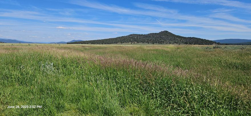 What a beautiful Homesite with beautiful view of pasture, wetland, mountains.  Very close to the Sprague River. Right off Drews Rd which is paved. Easy to find.