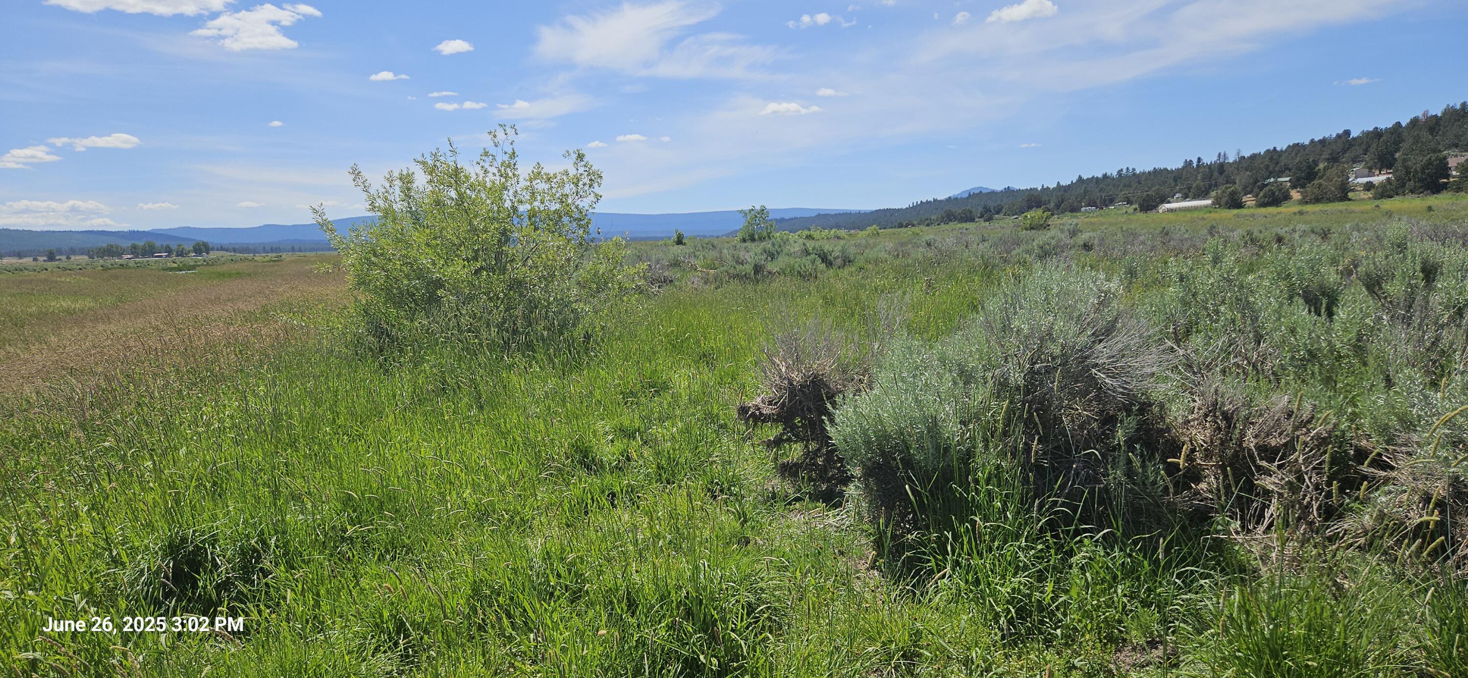 Nimrod River Park - Land