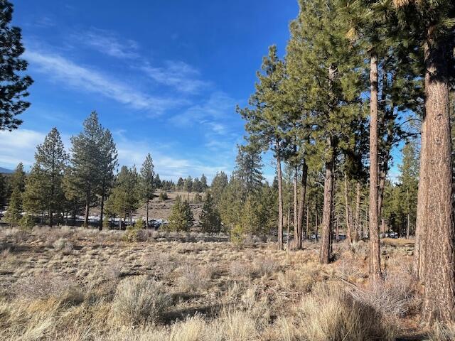 61859 Hosmer Lake Drive #374