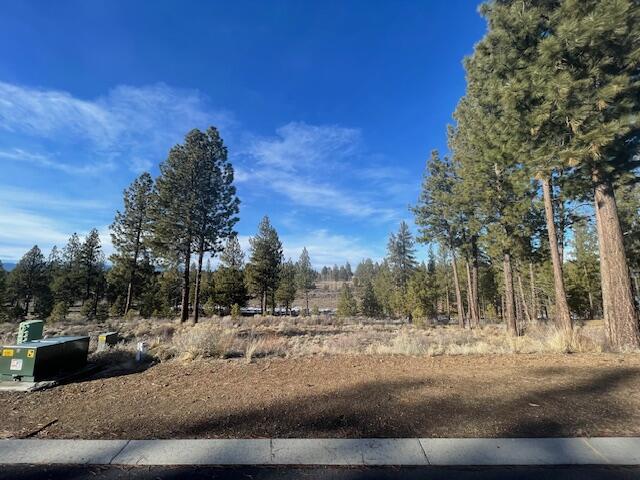 61859 Hosmer Lake Drive #374