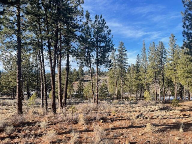 61859 Hosmer Lake Drive #374