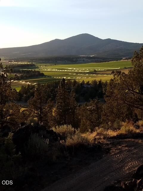 Tiny photo for 7801 NW Newell Lane, Prineville, OR 97754 (MLS # 220225885)