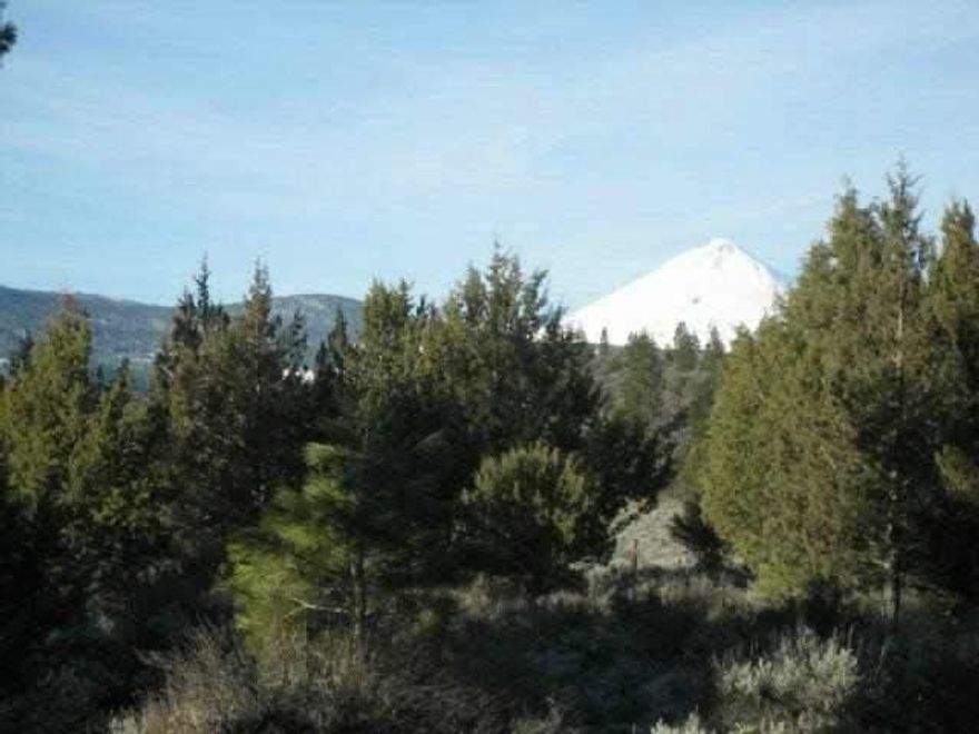 Butte Creek Frontage And Beautiful View Of Mt Shasta. Easy Drive To Klamath Falls Or Mt Shasta. Butte Creek Is A Year Round Fishing Creek. Clean Subdivision With Good Roads.