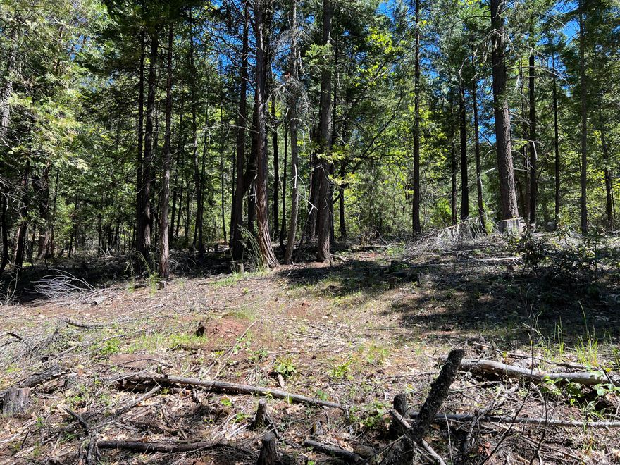 Enjoy country living on this lot near the Lost Creek Recreation Area. This lot is a great place to build your new home, cabin, or manufactured home. The land is completely treed and is level to gently sloping. A second lot is for sale adjacent to this lot. (TL348 Flounce Rock Rd) Buy both lots for a total of 1 acre. Water is provided to the edge of the lot via the Evergreen Meadows Community Water System. Power is along the edge of the lot, but will need to be installed by Pacific Power. A septic system will need to be installed. Located a few minutes from public access to Lost Creek Lake and BLM land. Lost Creek Lake is a popular place for boatings sports, camping and fishing. Just minutes from the Rogue River National Forest system where you can enjoy a plethora of outdoor activities including camping, hiking, hunting, world class trout fishing on the Upper Rogue, viewing waterfalls, riding OHVs, and much more! Owner carry options available to qualified buyers!