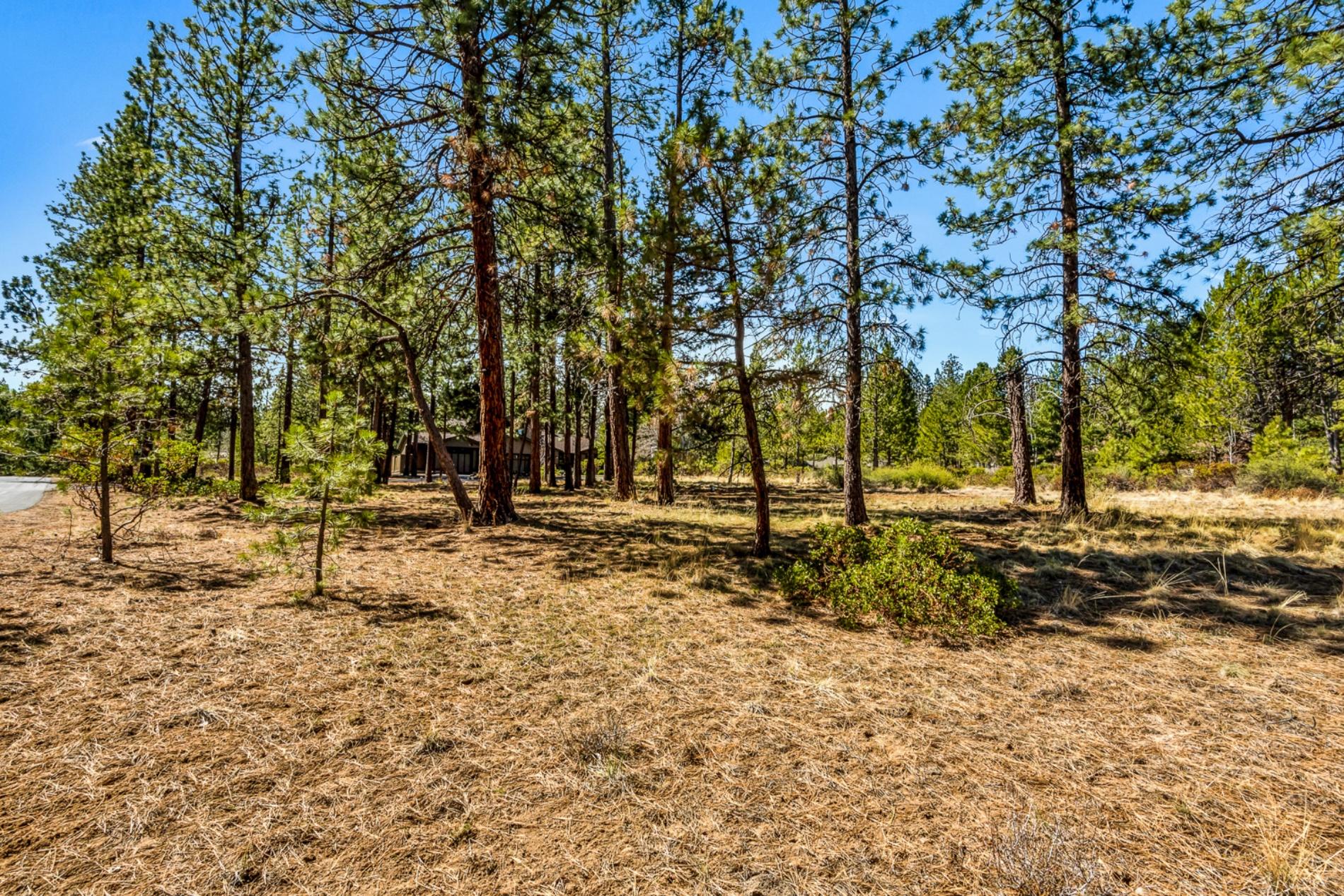 Sunrise Village - Residential