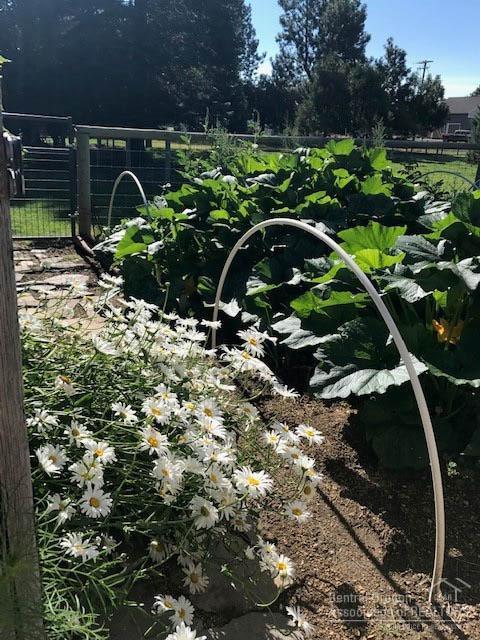 Dobbin Acres - Residential