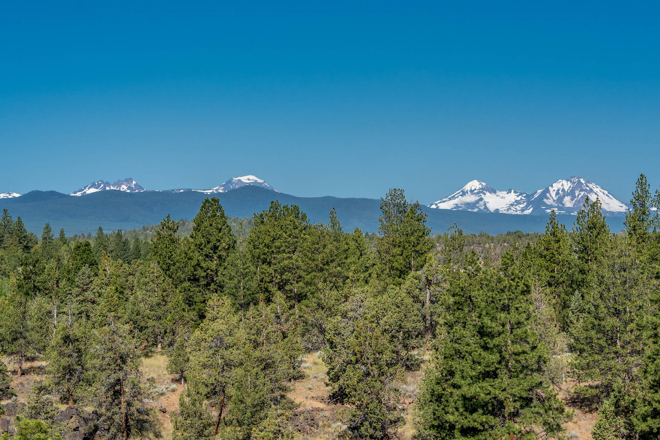 Wyndemere - Residential