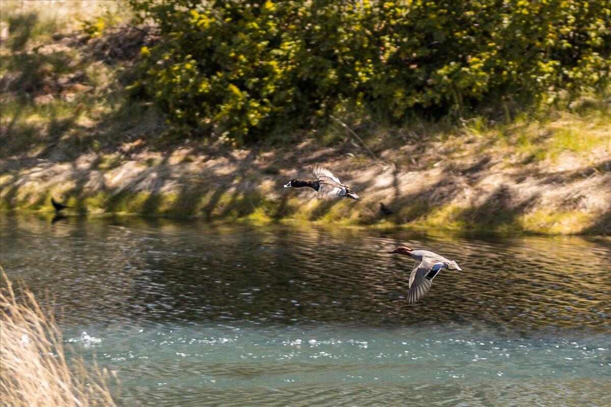 Fairway Crest Village - Residential
