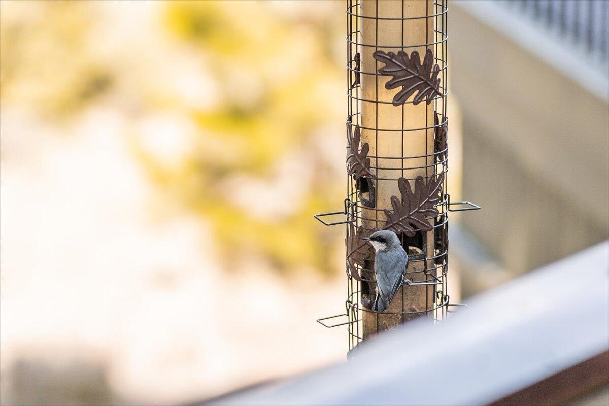 Fairway Crest Village - Residential