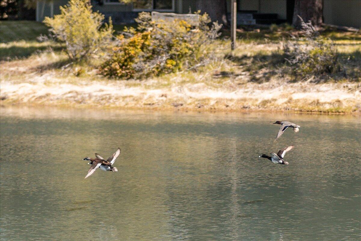 Fairway Crest Village - Residential