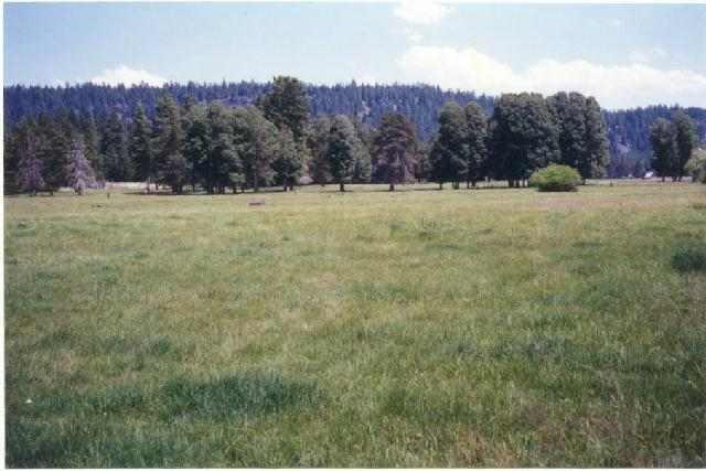 Fort Klamath - Land