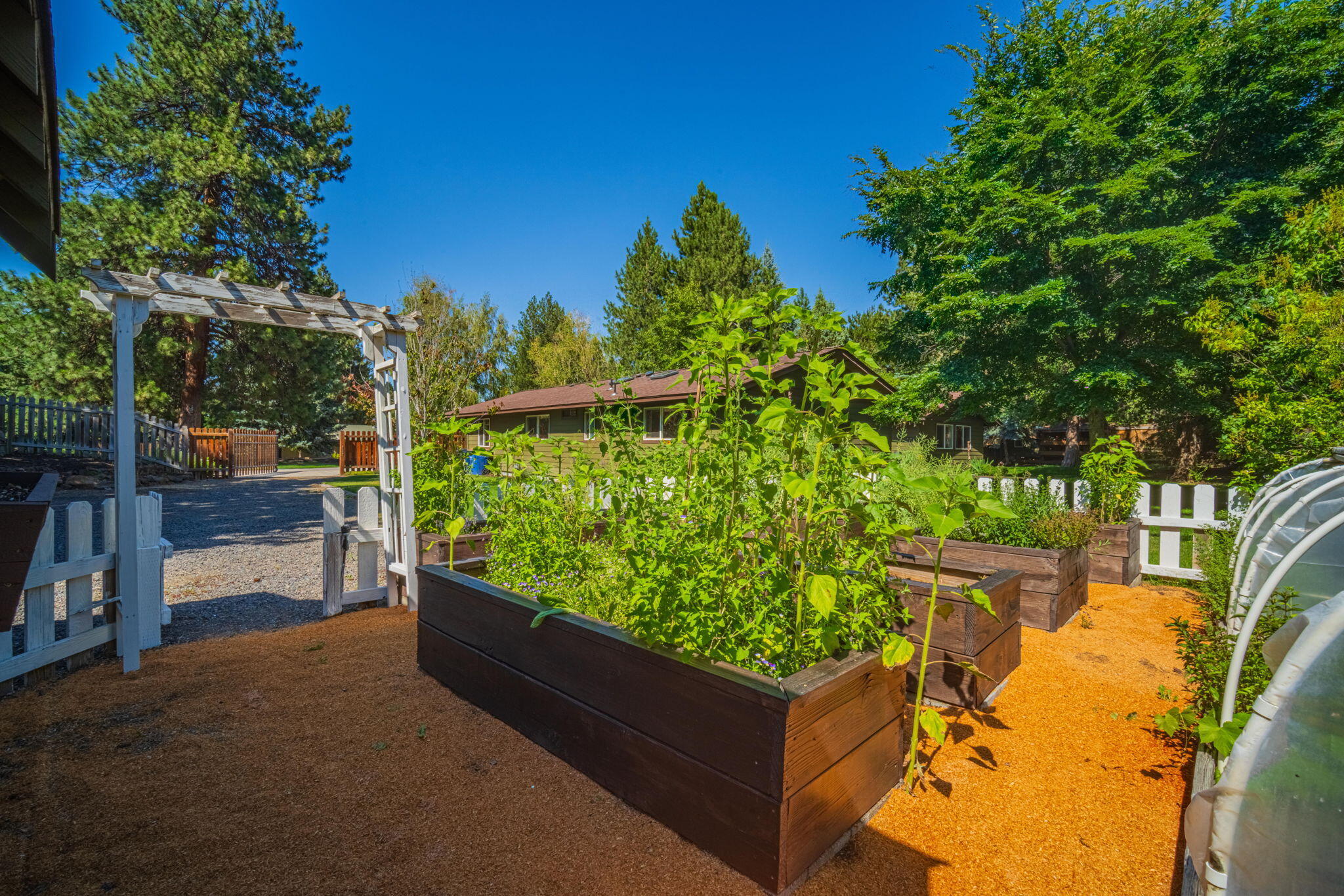 Reed Mkt East - Residential