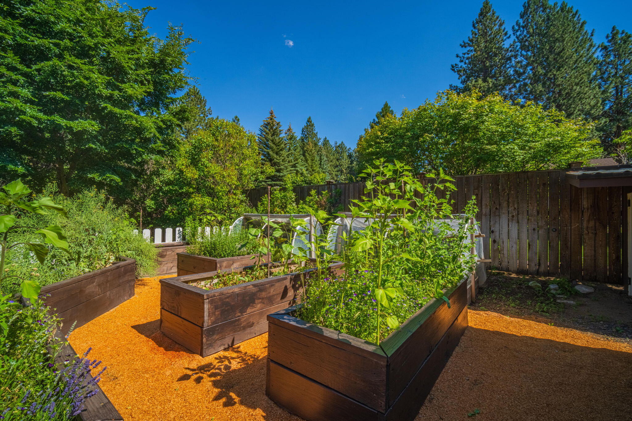 Reed Mkt East - Residential