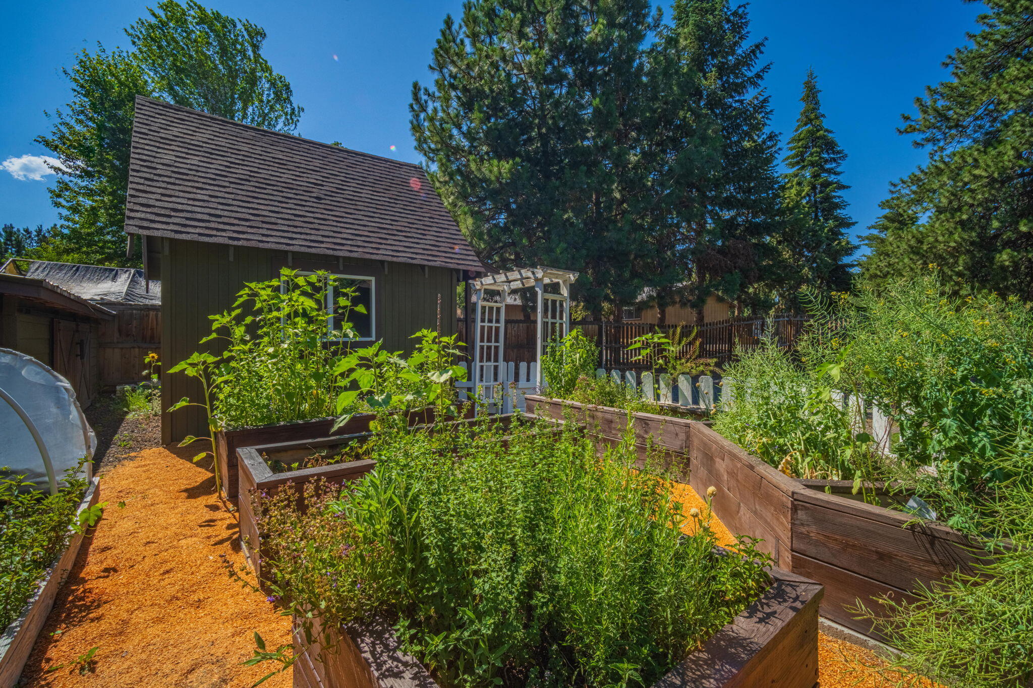 Reed Mkt East - Residential