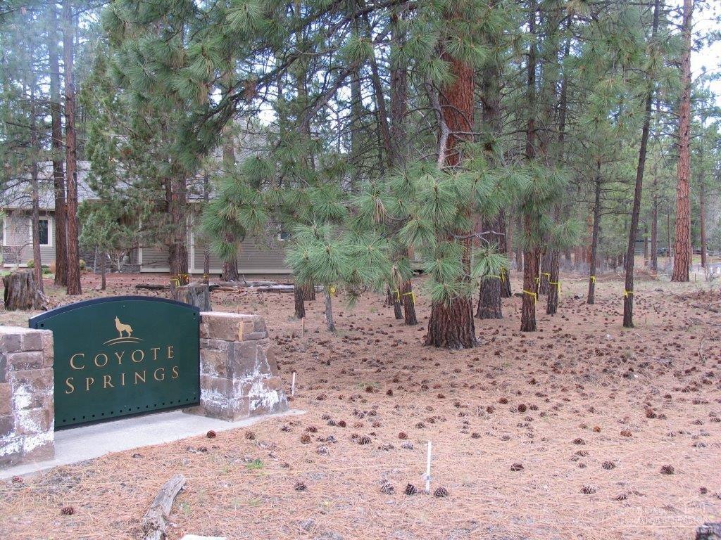 Coyote Springs - Land