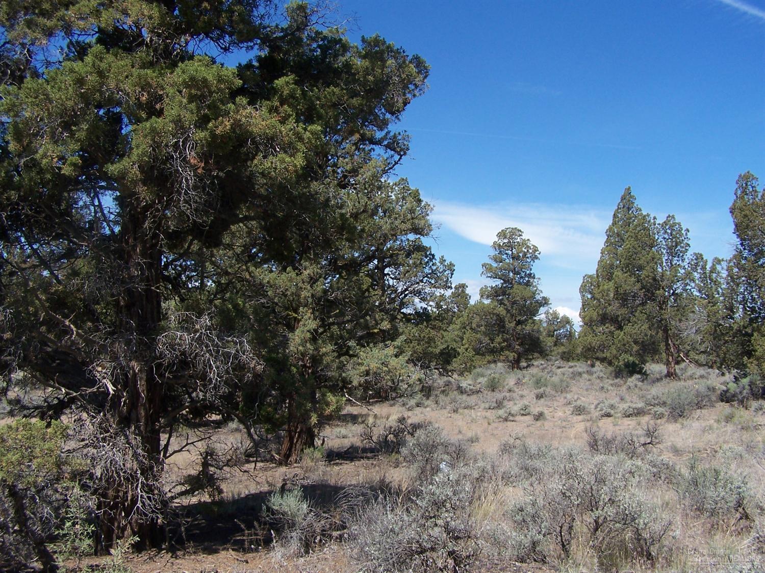 Bend Cascade View - Land