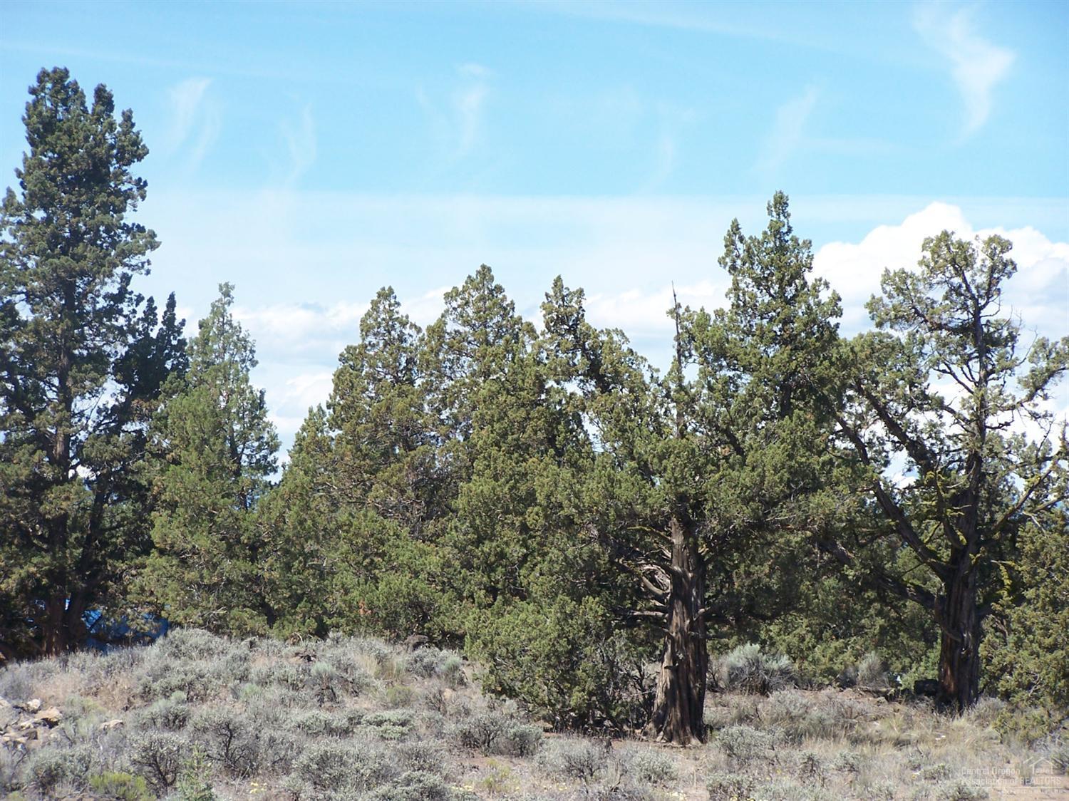 Bend Cascade View - Land