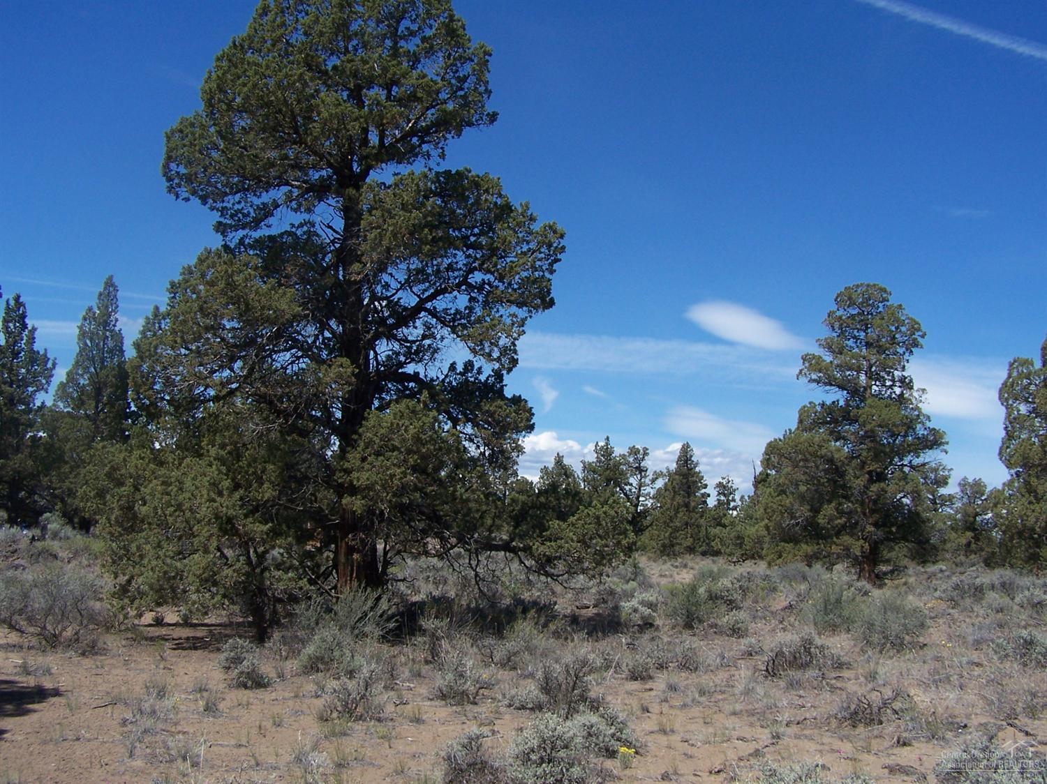 Bend Cascade View - Land