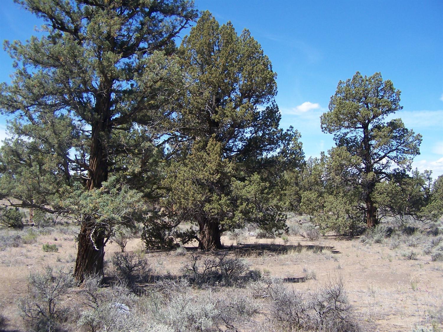 Bend Cascade View - Land