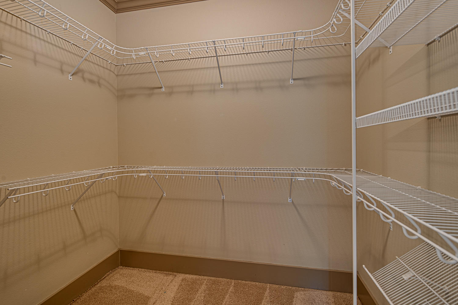 Tasman Rise - Residential