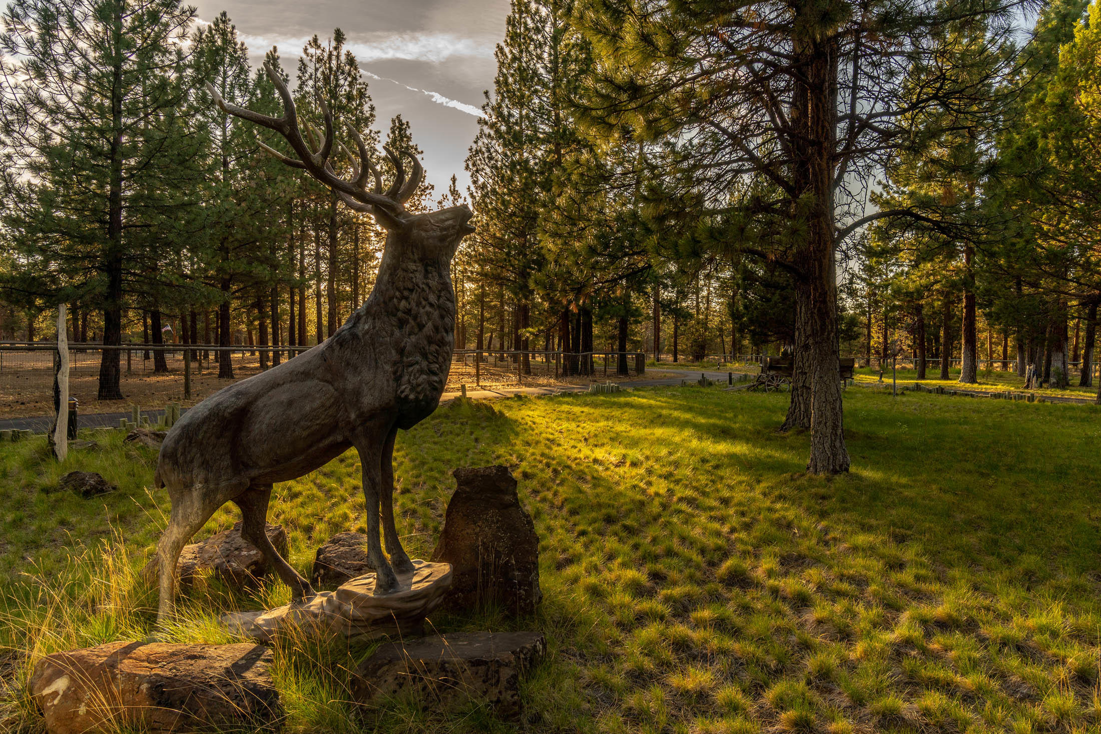 Indian Ford Meadows - Residential