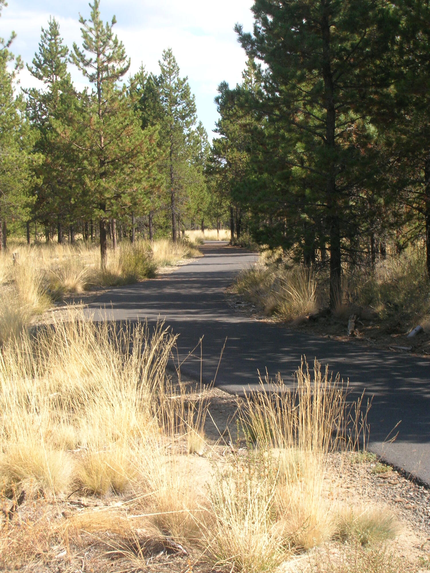 Crescent Creek - Residential