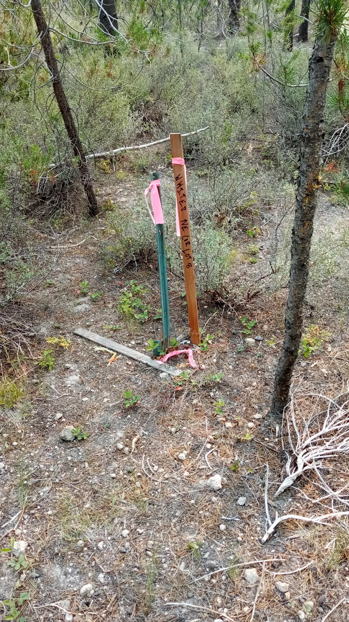 Mt. Scott Meadow - Land