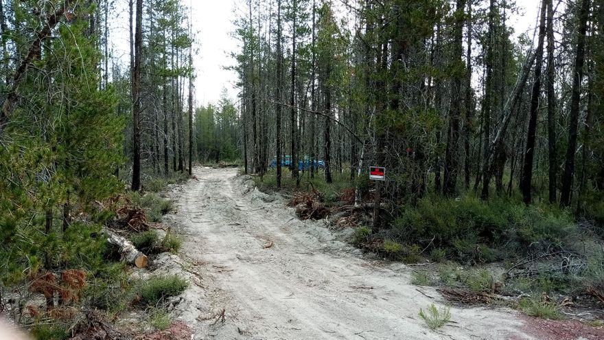 Nestled in a serene, wooded high desert residential subdivision north of Chiloquin, this 0.95-acre lot offers a rare opportunity for a new build. The property is a lovely mix of open space and natural trees, with a portion already cleared for your convenience. An existing unimproved driveway and a small storage shed are ready to use, providing immediate utility. While a well and septic system will be needed, power is conveniently available at the road, simplifying the initial steps of construction. Enjoy the best of Oregon's high desert with this peaceful property, which serves as a central hub for outdoor recreation. You're just a short drive from the breathtaking landscapes of Crater Lake and Diamond Lake, and a quick hour's journey south to La Pine for shopping and services.