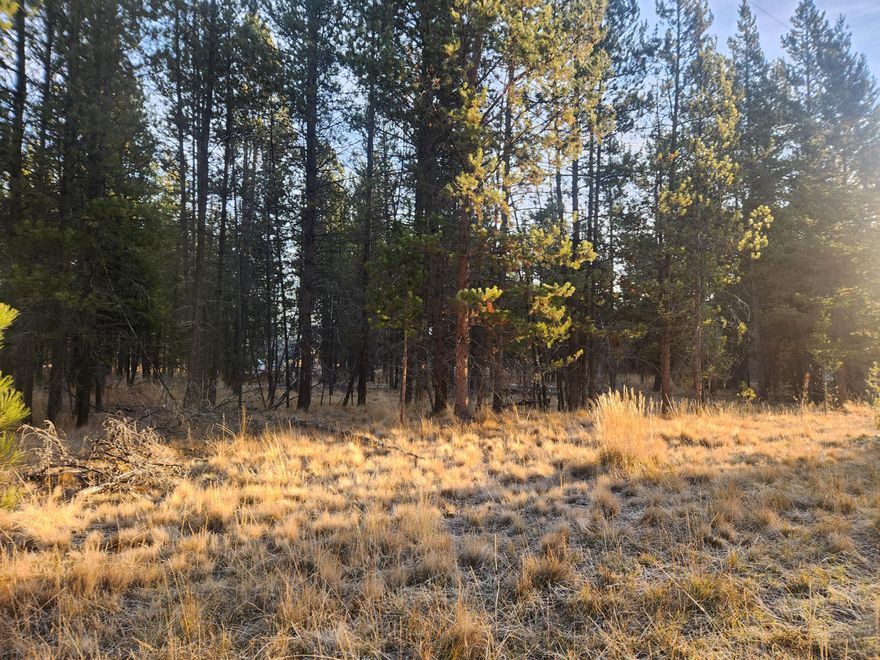 Come and enjoy this 0.50-acre lot, perfect for RV camping and outdoor recreation! Located near Mt. Bachelor, Fall River, and Sunriver, this property offers easy access to fishing, hiking, golfing, and horseback riding—an ideal spot for all your winter and summer activities. The adjacent lot is also available, giving you the opportunity to own two side-by-side parcels if you're looking for additional space. Buyer to perform their own due diligence with Deschutes County regarding permitted uses of the property.