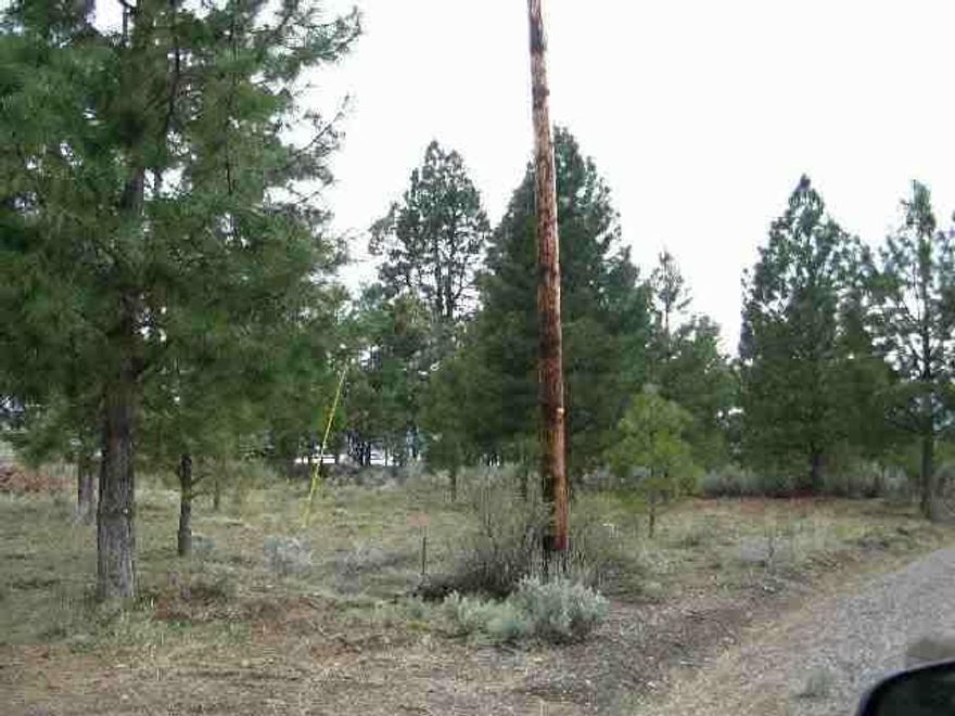 Adjoining Pine Covered Lots With Lake & Mountain View. Power And Water Available, Acess To Lakefront Park, Standard Septic Approval.