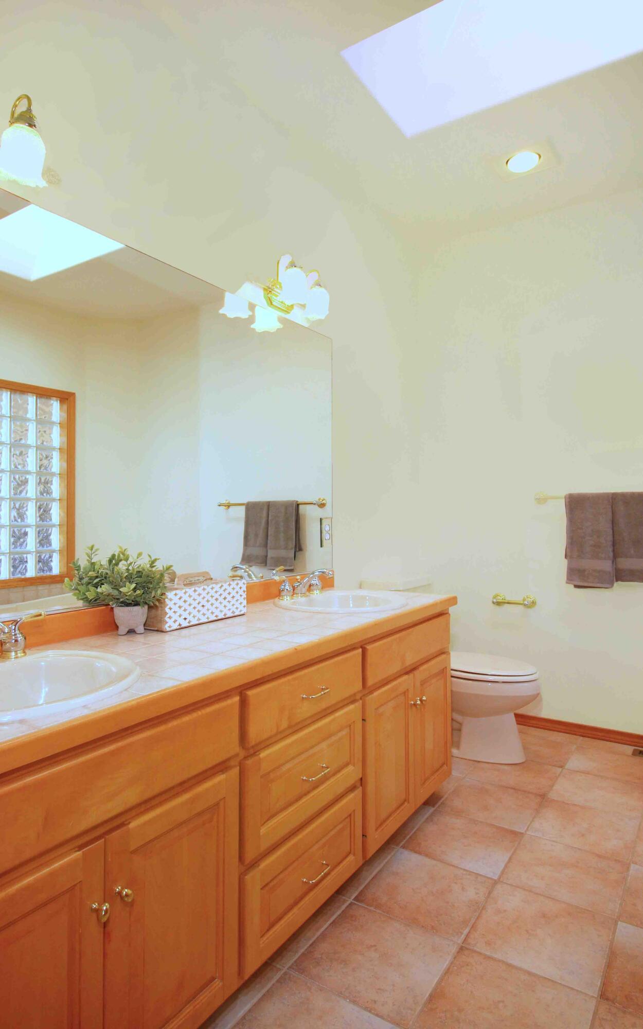 Oak Tree - Residential