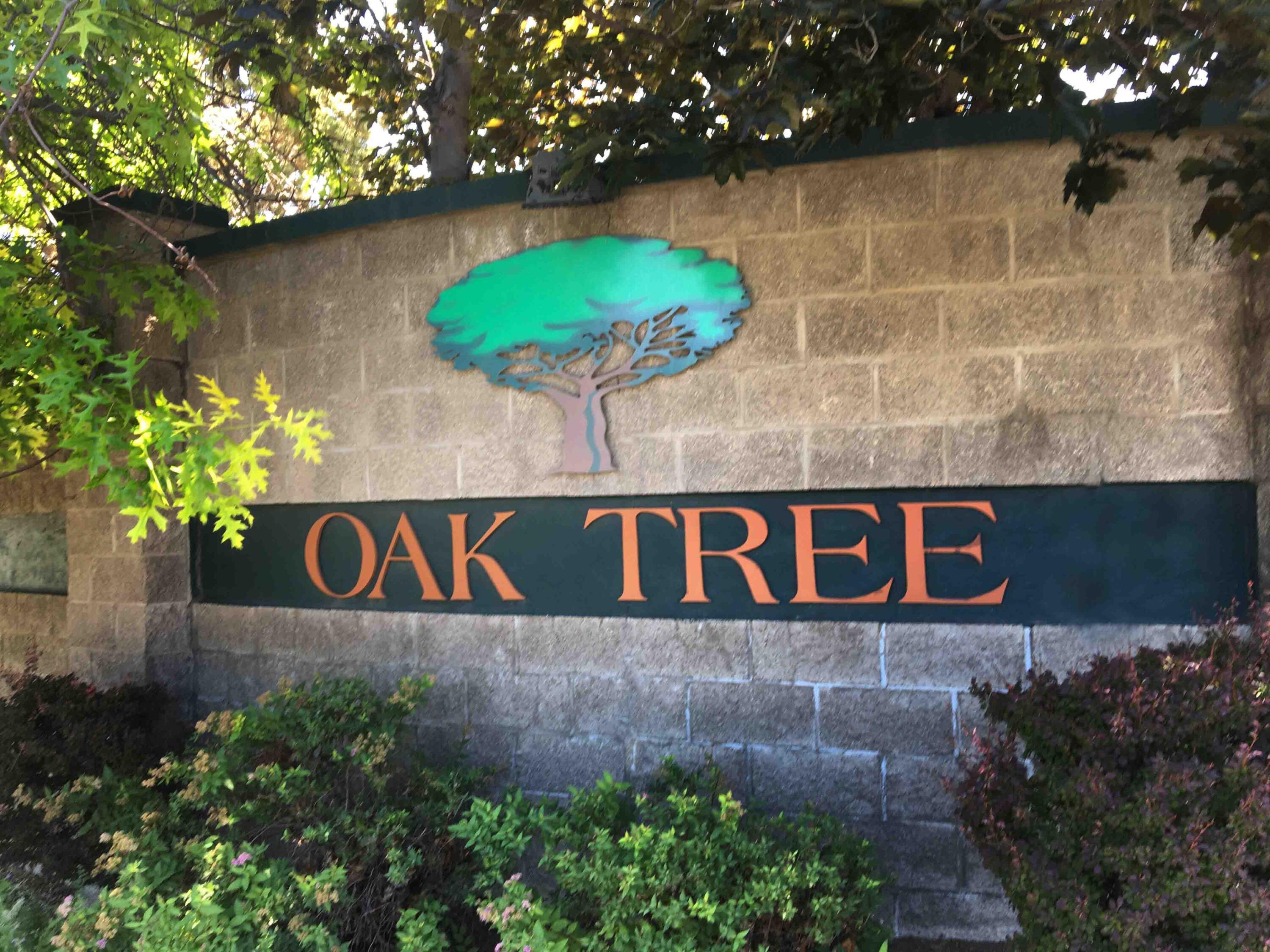 Oak Tree - Residential