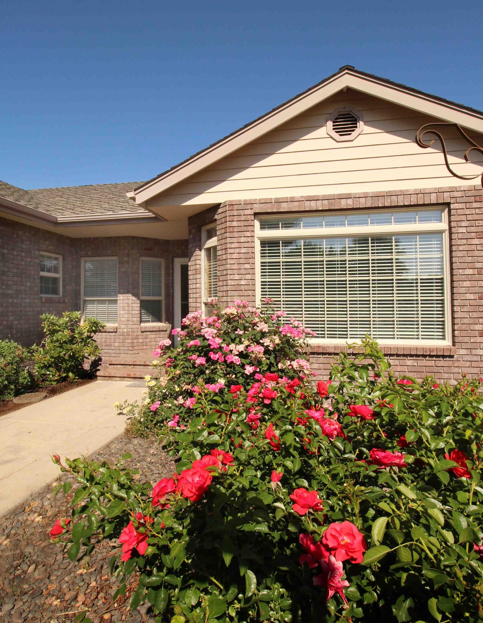 Oak Tree - Residential