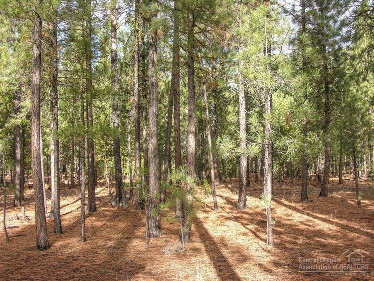 Ponderosa Pines - Residential