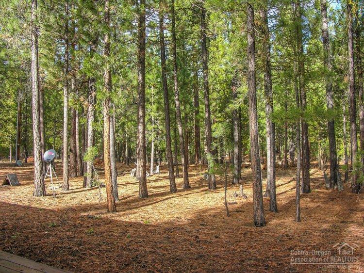 Ponderosa Pines - Residential