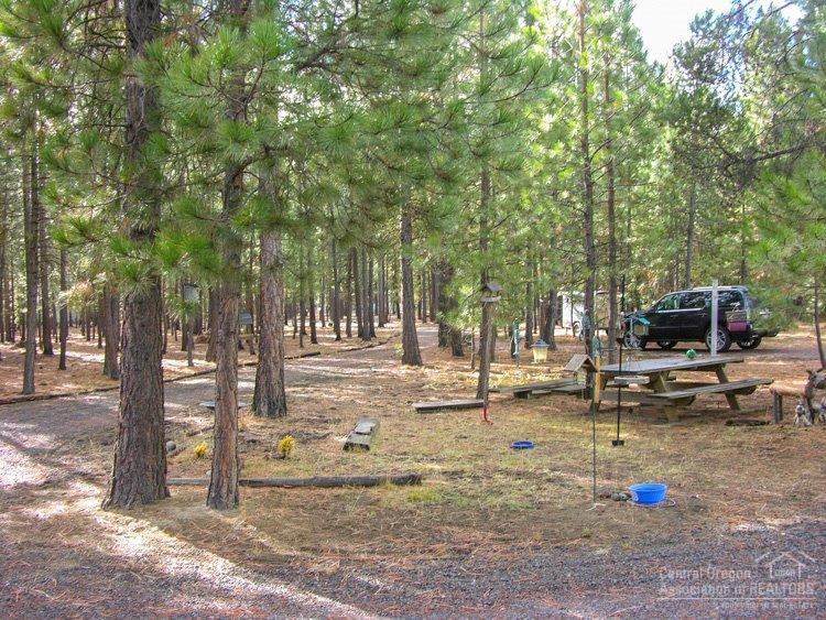 Ponderosa Pines - Residential