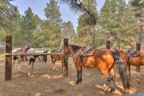 Tiny photo for 18575 SW Century Drive #1237/1238, Bend, OR 97702 (MLS # 220215346)