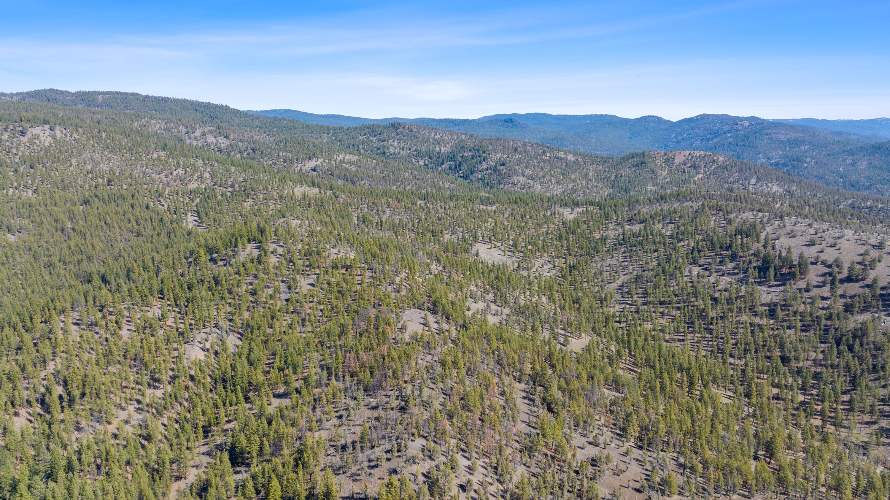 TBD Allen Creek Road