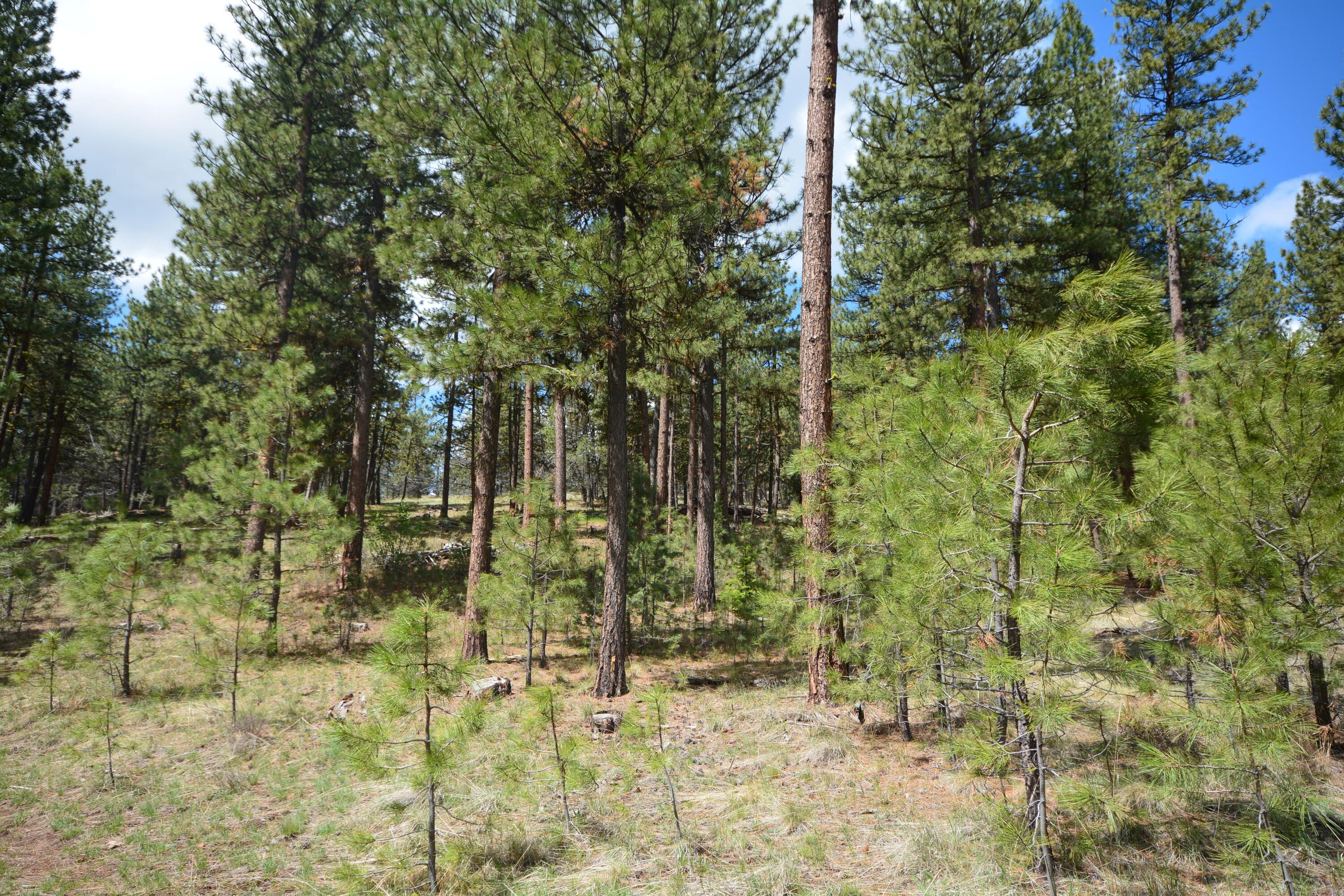 TBD Allen Creek Road