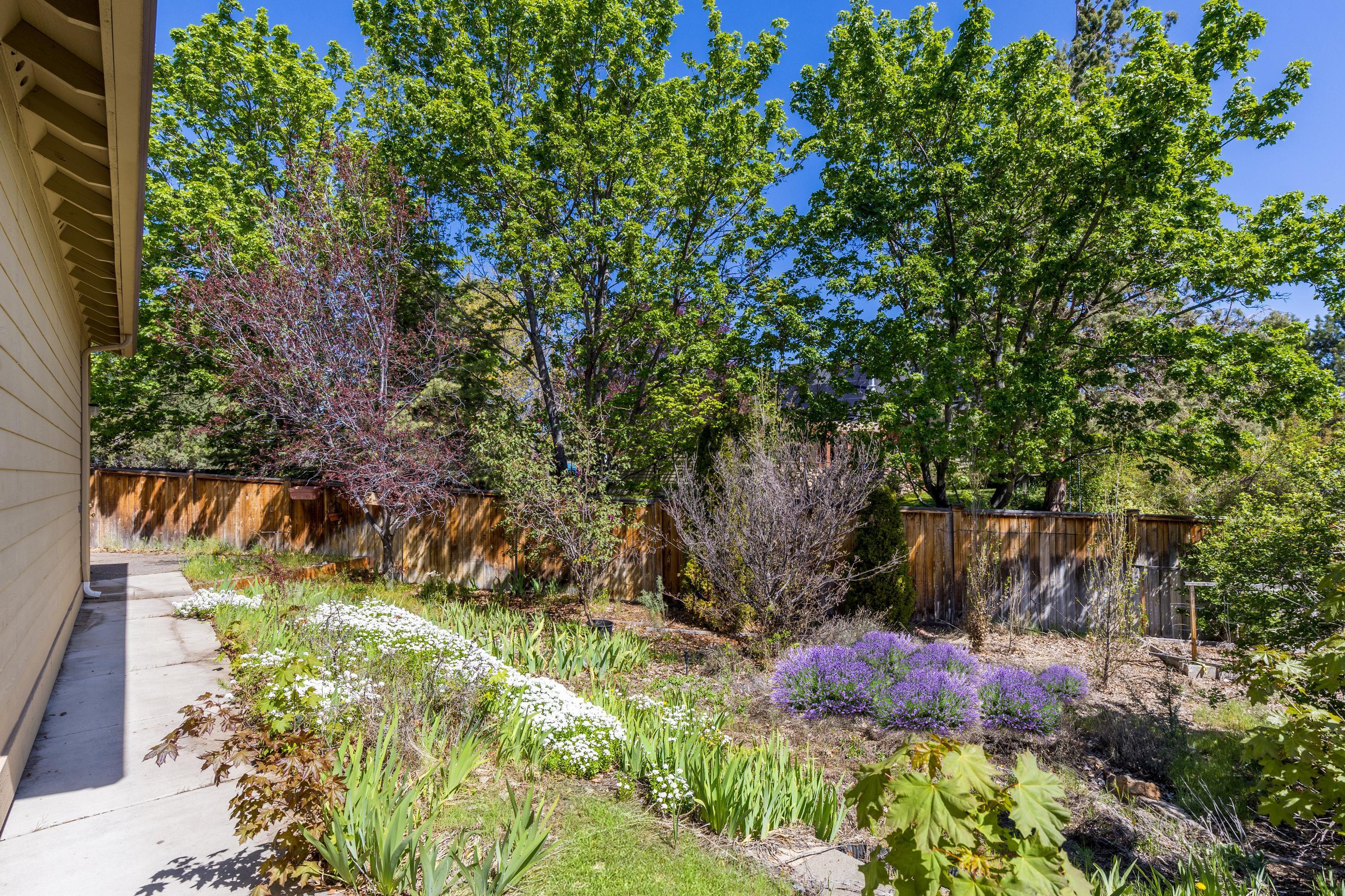 Phoenix Park - Residential