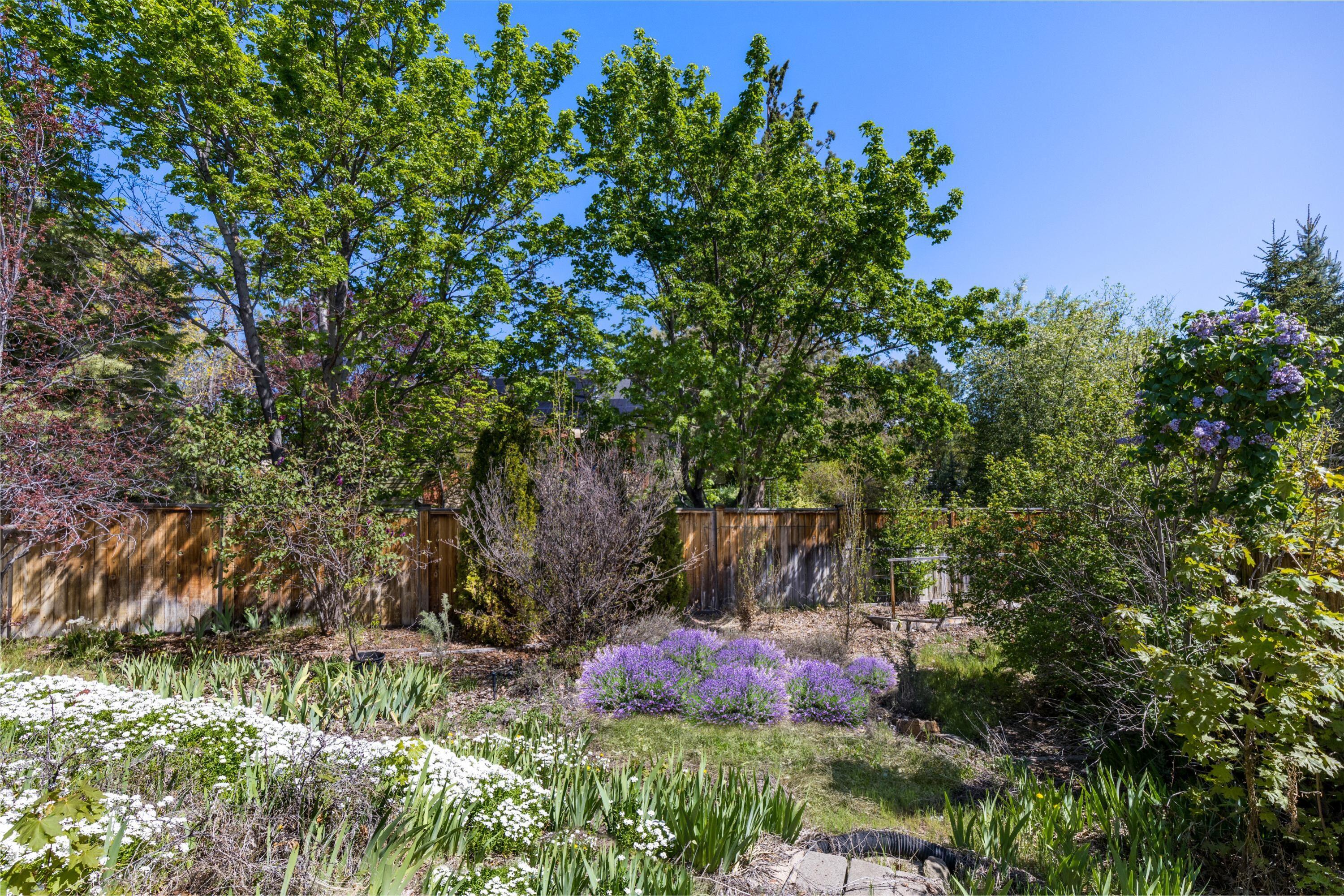 Phoenix Park - Residential