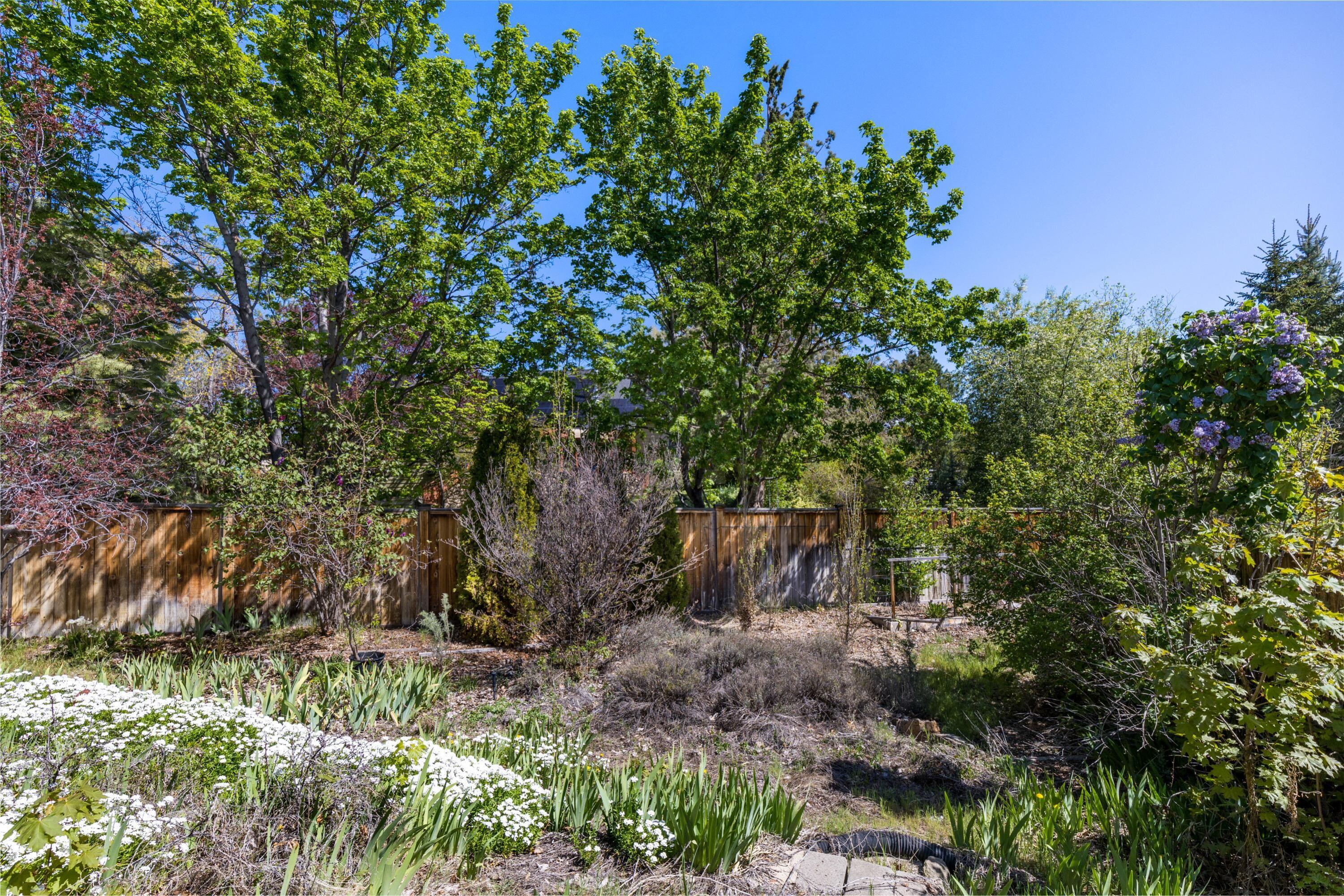 Phoenix Park - Residential